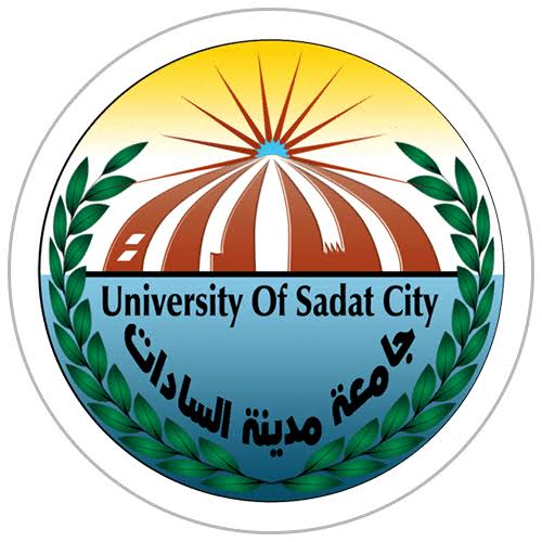 بدء برامج الدراسات العليا بنظام الساعات المعتمدة بكلية الحاسبات