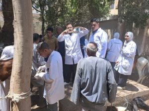 الجامعة المصرية الصينية تقود قافلة تنموية شاملة بالفيوم.. علاج مجاني وخدمات بيطرية لآلاف الحالات 10 1776974335191 الجامعة المصرية الصينية تقود قافلة تنموية شاملة الجامعة المصرية الصينية تقود قافلة تنموية شاملة بالفيوم.. علاج مجاني وخدمات بيطرية لآلاف الحالات موقع في الجامعة