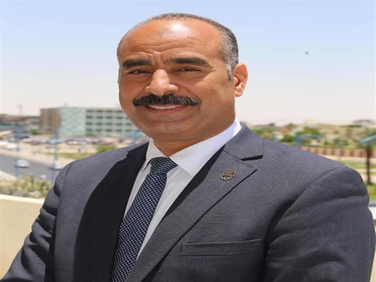 الدكتور محمود الفولي