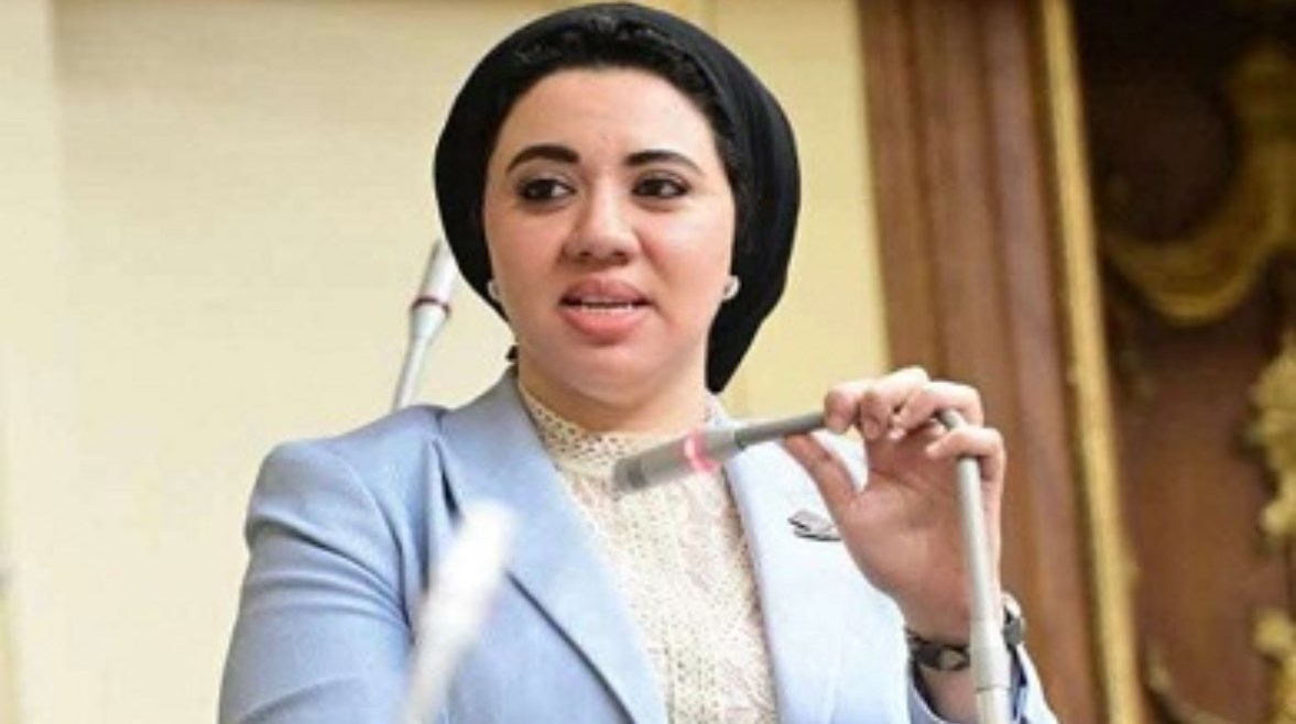 النائبة أميرة صابر