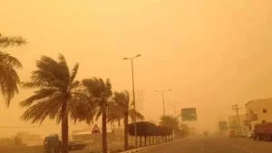 الحرارة تصل لـ29 درجة.. الأرصاد تُحذر من شبورة كثيفة ورمال مثيرة للأتربة غداً الخميس 4 687552845087202602160851555155 1 1 الأرصاد تُحذر من شبورة كثيفة ورمال مثيرة للأتربة غداً الحرارة تصل لـ29 درجة.. الأرصاد تُحذر من شبورة كثيفة ورمال مثيرة للأتربة غداً الخميس موقع في الجامعة