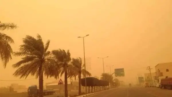 687552845087202602160851555155 1 1 النموذج الاسترشادي الخامس في رياضة بحتة إنجليزي الحرارة تصل لـ29 درجة.. الأرصاد تُحذر من شبورة كثيفة ورمال مثيرة للأتربة غداً الخميس موقع في الجامعة
