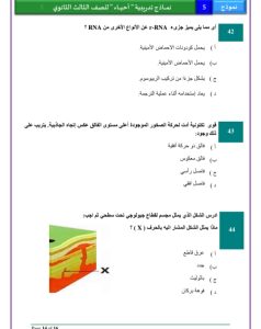الخلاصة.. ننشر أهم 46 سؤالًا في مادة الأحياء لطلاب الثانوية العامة