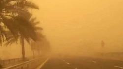 عاصفة ترابية تضرب غالبية المحافظات.. والأرصاد تحذر من انخفاض الرؤية الأفقية 3 IMG 5517 عاصفة ترابية تضرب غالبية المحافظات عاصفة ترابية تضرب غالبية المحافظات.. والأرصاد تحذر من انخفاض الرؤية الأفقية موقع في الجامعة