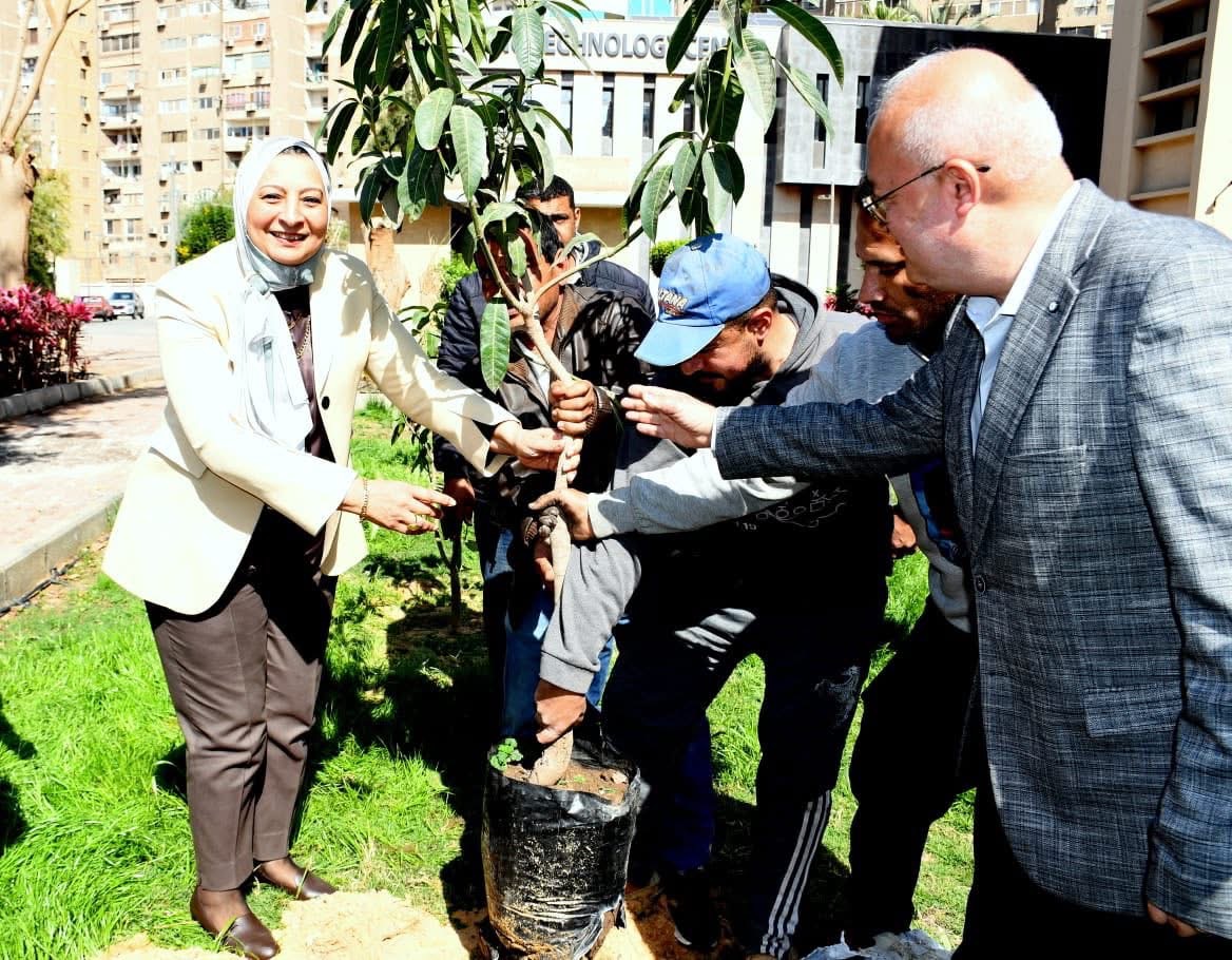 IMG 5689 جامعة عين شمس تزرع أشجارًا مثمرة ضمن مبادرة "100 مليون شجرة".. جامعة عين شمس تزرع أشجارًا مثمرة بالحرم الرئيسي موقع في الجامعة