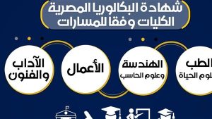 IMG 6032 مسار الآداب والفنون شهادة البكالوريا المصرية.. الكليات والتخصصات وفقًا لمسار الآداب والفنون موقع في الجامعة