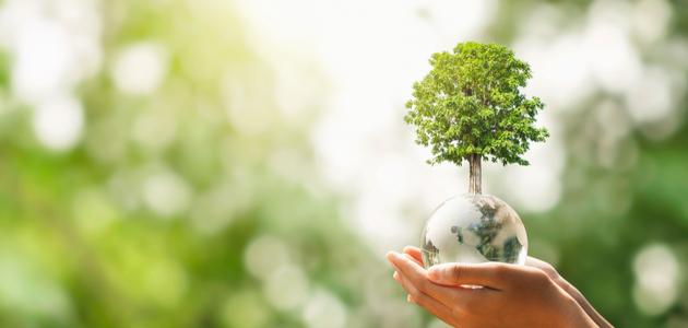 IMG 6867 كيف تساهم تقنية «الهيدروجيل» في توفير المياه ندوة بجامعة القاهرة لتعزيز الوعي البيئي وترسيخ مفهوم الاستدامة لدى الطلاب موقع في الجامعة