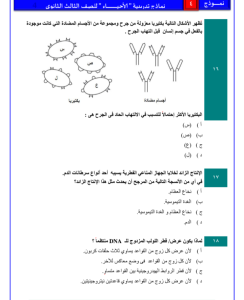 IMG ٢٠٢٦٠٤٠٣ ٢١٣٧٣٢ نموذج الأحياء الرابع بـ46 سؤالًا لطلاب الثانوية 2026 لن تخرج عنه الامتحانات.. نموذج الأحياء الرابع بـ46 سؤالًا لطلاب الثانوية 2026 موقع في الجامعة