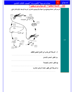 IMG ٢٠٢٦٠٤٠٣ ٢١٣٩٢٨ نموذج الأحياء الرابع بـ46 سؤالًا لطلاب الثانوية 2026 لن تخرج عنه الامتحانات.. نموذج الأحياء الرابع بـ46 سؤالًا لطلاب الثانوية 2026 موقع في الجامعة