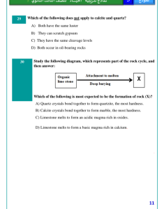 IMG ٢٠٢٦٠٤١٢ ١٧٤٩٣٧ النموذج الاسترشادي الخامس في الأحياء إنجليزي الخلاصة.. أهم 46 سؤالًا بالنموذج الاسترشادي الخامس في الأحياء إنجليزي للثانوية العامة 2026 موقع في الجامعة