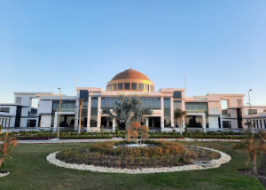جامعة زويل للعلوم والتكنولوجيا والابتكار