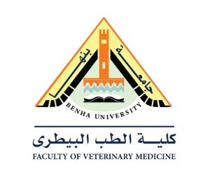 جامعة بنها تعلن فتح باب التقدم لعمادة كلية الطب البيطري.. رابط وشروط التسجيل 3 IMG ٢٠٢٦٠٤٢٩ ٢٠٠٧٣١ جامعة بنها تعلن فتح باب التقدم لعمادة كلية الطب جامعة بنها تعلن فتح باب التقدم لعمادة كلية الطب البيطري.. رابط وشروط التسجيل موقع في الجامعة