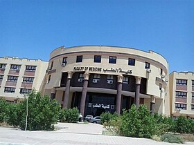كلية الطب جامعة القاهرة الاهلية