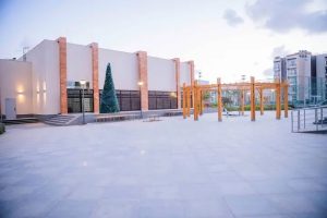 1778342055104 السيسي وماكرون يدشنان جامعة سنجور ببرج العرب مصر تفتتح صفحة جديدة في التعليم الإفريقي.. السيسي وماكرون يدشنان جامعة سنجور ببرج العرب موقع في الجامعة