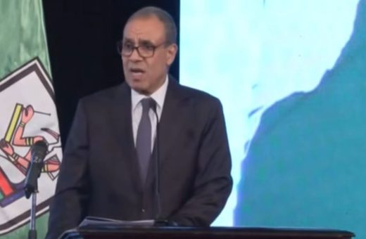وزير الخارجية: مصر تدعم استثمارات في أفريقيا بقيمة 700 مليار دولار