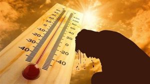 الأرصاد: طقس شديد الحرارة غدًا.. وشبورة مائية ورياح مثيرة للأتربة بعدة مناطق 2 الأرصاد: طقس شديد الحرارة غدًا