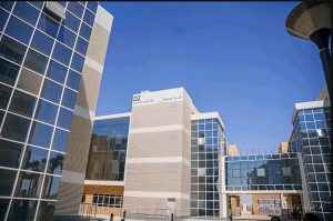 يفتتحها السيسي وماكرون.. أبرز المعلومات عن جامعة سنجور بالإسكندرية 6 85 جامعة سنجور بالإسكندرية يفتتحها السيسي وماكرون.. أبرز المعلومات عن جامعة سنجور بالإسكندرية موقع في الجامعة