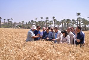 رئيس جامعة القاهرة يوجه بتطوير محطة البحوث الزراعية وربطها بسوق العمل والتوسع في الإنتاج والتدريب 2 رئيس جامعة القاهرة يوجه بتطوير محطة البحوث الزراعية وربطها بسوق العمل والتوسع في الإنتاج والتدريب