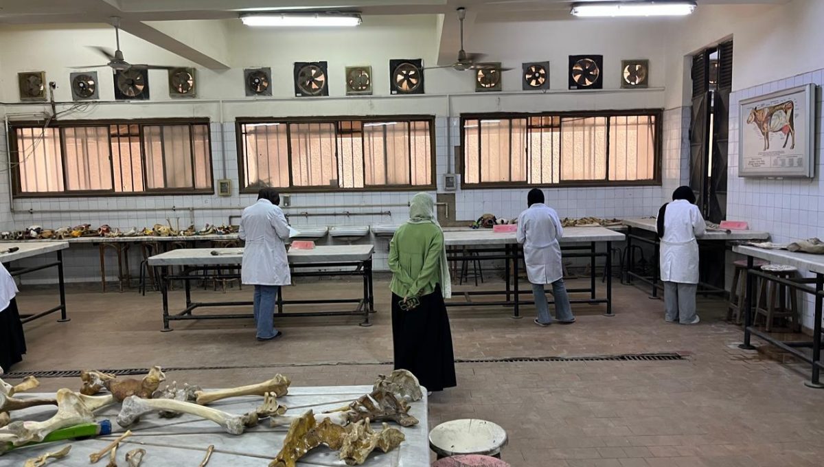 وسط تنظيم دقيق.. طلاب القطاع الصحي بجامعة القاهرة الأهلية يؤدون امتحاناتهم العملية