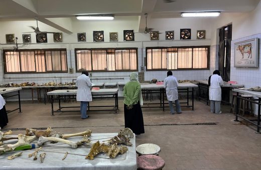 وسط تنظيم دقيق.. طلاب القطاع الصحي بجامعة القاهرة الأهلية يؤدون امتحاناتهم العملية