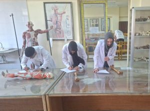 وسط تنظيم دقيق.. طلاب القطاع الصحي بجامعة القاهرة الأهلية يؤدون امتحاناتهم العملية| صور 2 وسط تنظيم دقيق.. طلاب القطاع الصحي بجامعة القاهرة الأهلية يؤدون امتحاناتهم العملية