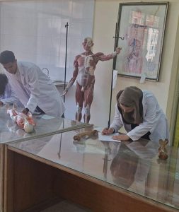 وسط تنظيم دقيق.. طلاب القطاع الصحي بجامعة القاهرة الأهلية يؤدون امتحاناتهم العملية| صور 4 IMG 20260525 WA0056 طلاب القطاع الصحي بجامعة القاهرة الأهلية وسط تنظيم دقيق.. طلاب القطاع الصحي بجامعة القاهرة الأهلية يؤدون امتحاناتهم العملية| صور موقع في الجامعة