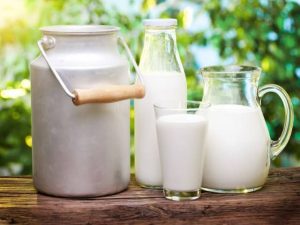 أوميجا 3 والكالسيوم والبروتين.. كيف يدعم الحليب صحة العظام والمناعة في مختلف الأعمار؟| باحث يوضح 4 IMG 0374 كيف يدعم الحليب صحة العظام والمناعة أوميجا 3 والكالسيوم والبروتين.. كيف يدعم الحليب صحة العظام والمناعة في مختلف الأعمار؟| باحث يوضح موقع في الجامعة