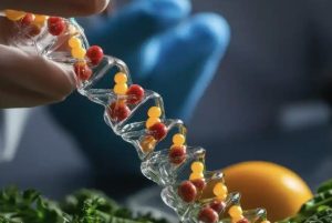 هل يصبح الـDNA دليل نظامك الغذائي في المستقبل؟.. خبيرة توضح 2 هل يصبح الـDNA دليل نظامك الغذائي
