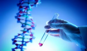 هل يصبح الـDNA دليل نظامك الغذائي في المستقبل؟.. خبيرة توضح 3 IMG 0601 هل يصبح الـDNA دليل نظامك الغذائي هل يصبح الـDNA دليل نظامك الغذائي في المستقبل؟.. خبيرة توضح موقع في الجامعة