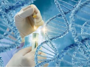 هل يصبح الـDNA دليل نظامك الغذائي في المستقبل؟.. خبيرة توضح 4 IMG 0603 هل يصبح الـDNA دليل نظامك الغذائي هل يصبح الـDNA دليل نظامك الغذائي في المستقبل؟.. خبيرة توضح موقع في الجامعة