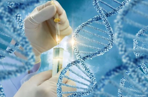 IMG 0603 هل يصبح الـDNA دليل نظامك الغذائي هل يصبح الـDNA دليل نظامك الغذائي في المستقبل؟.. خبيرة توضح موقع في الجامعة