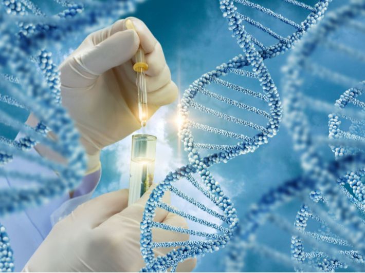 IMG 0603 هل يصبح الـDNA دليل نظامك الغذائي هل يصبح الـDNA دليل نظامك الغذائي في المستقبل؟.. خبيرة توضح موقع في الجامعة