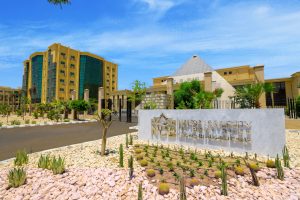 IMG 7804 جامعة النهضة 2026 جامعة النهضة 2026.. الكليات والمصروفات والقبول والتخصصات موقع في الجامعة