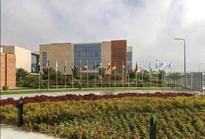 تعرف على شروط القبول بجامعة سنجور والمنح الدراسية 2026 2 شروط القبول بجامعة سنجور