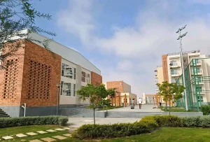 جامعة سنجور ببرج العرب