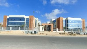 هل جامعة سنجور ببرج العرب مناسبة لك؟.. اعرف البرامج والتخصصات 4 IMG 8429 جامعة سنجور ببرج العرب هل جامعة سنجور ببرج العرب مناسبة لك؟.. اعرف البرامج والتخصصات موقع في الجامعة
