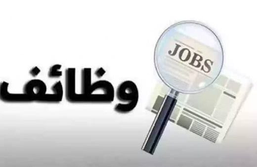 IMG 8704 جامعة عين شمس وزارة العمل تعلن عن فرص عمل جديدة في 11 محافظة.. اعرف التخصصات والمرتبات وطريقة التقديم موقع في الجامعة