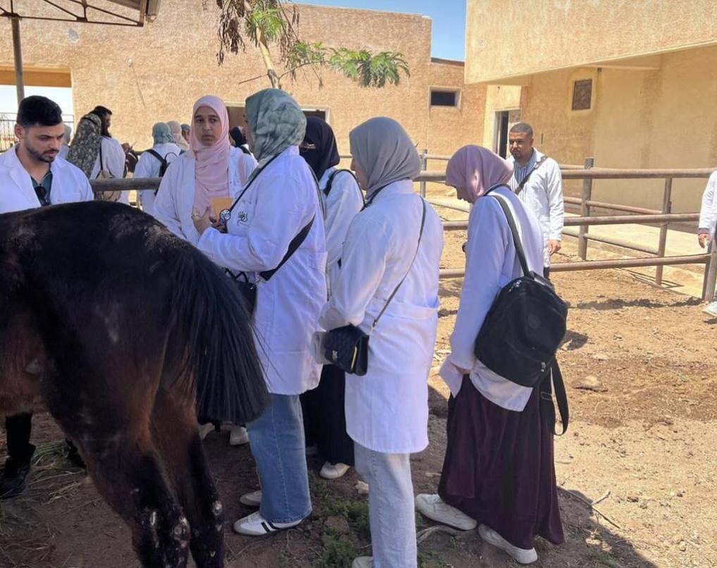 كلية الطب البيطري 