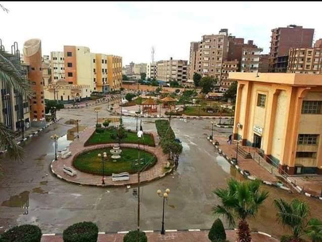 كلية التربية 
