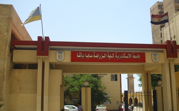كلية الزراعة - سابا باشا 