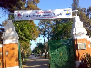كلية الطب البيطري 