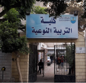 كلية التربية النوعية 