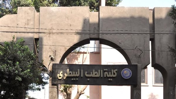 كلية الطب البيطري 