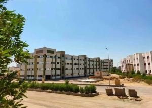 كلية الهندسة جامعة جنوب الوادي