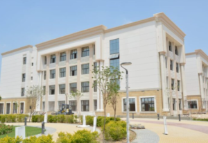كلية التجارة الدولية واللغات جامعة الإسماعيلية الجديدة الأهلية