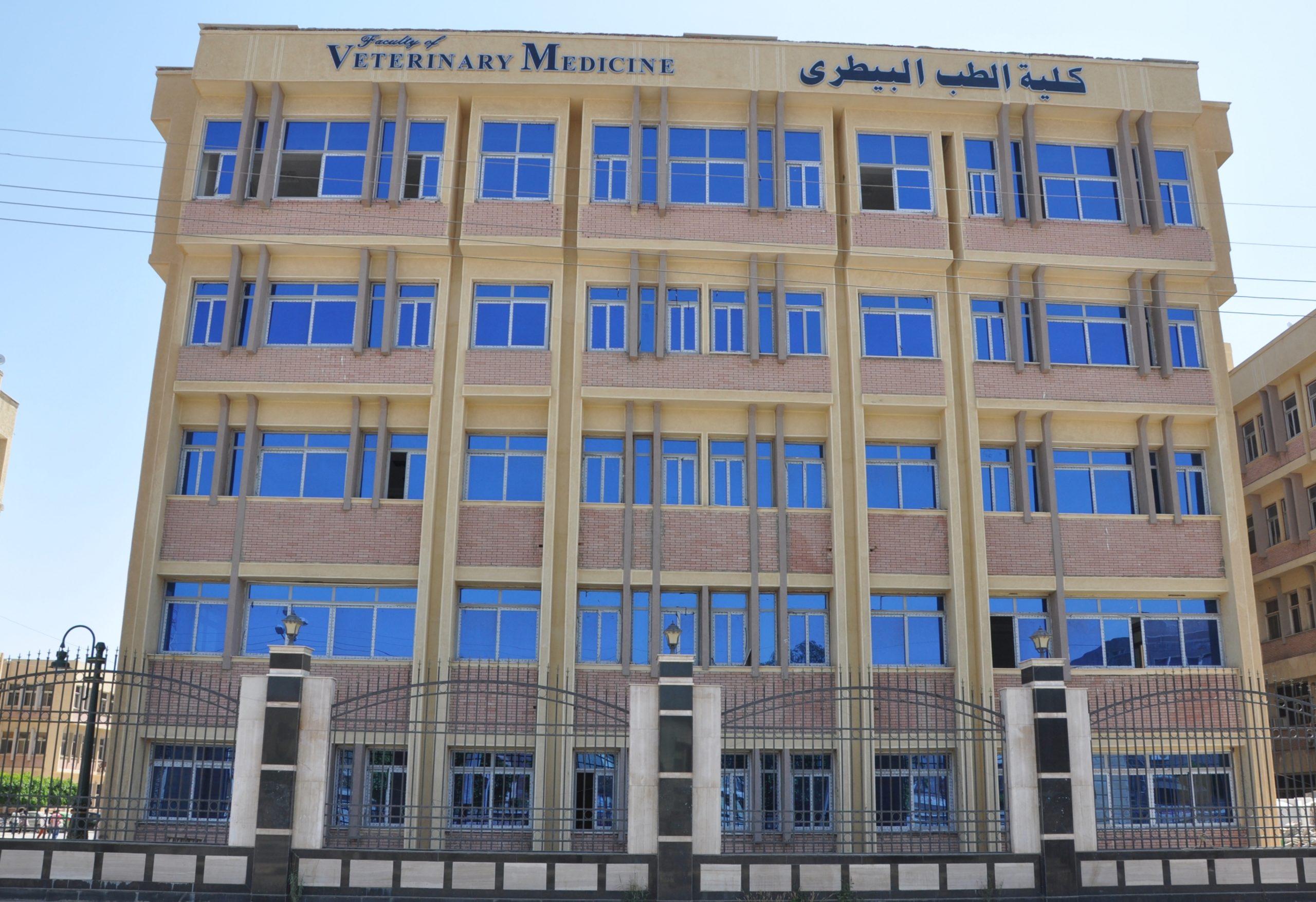 كلية الطب البيطري جامعة كفر الشيخ الأهلية