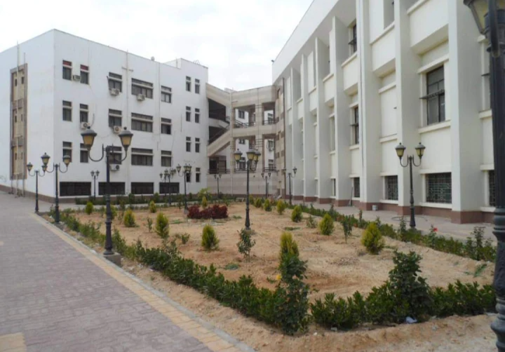 كلية التجارة جامعة مدينة السادات