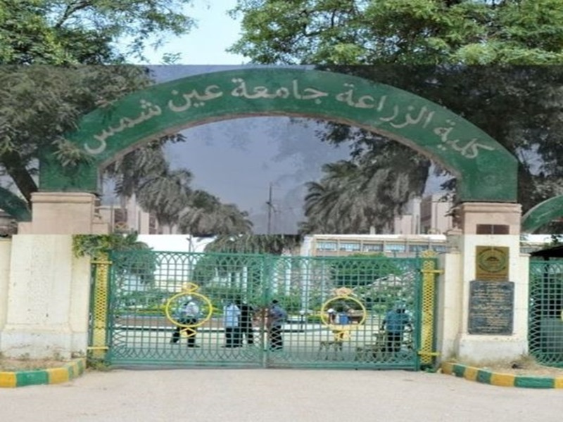 كلية الزراعة جامعة عين شمس