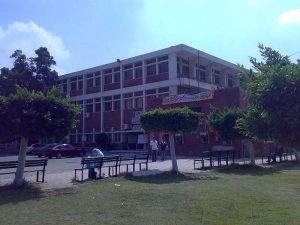 كلية التجارة جامعة بورسعيد