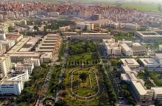 مجلس جامعة المنصورة
